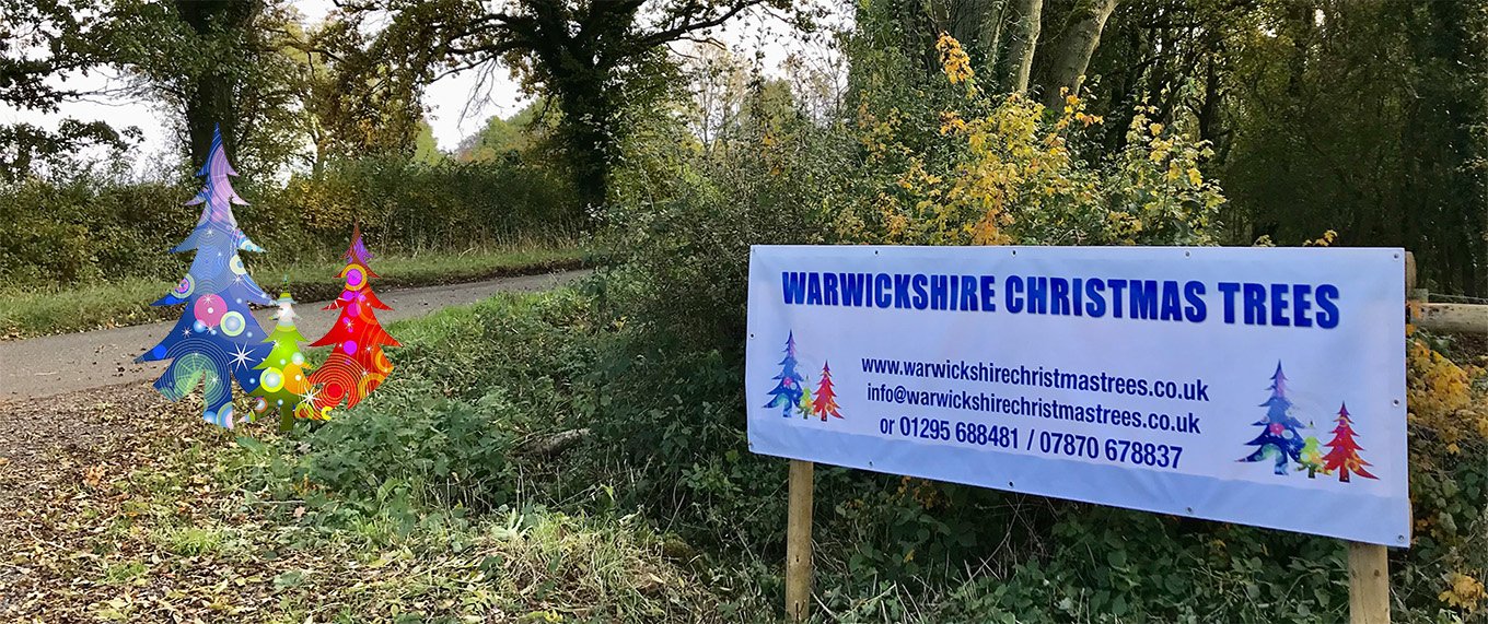 Warwickshire Christmas Tree Farm
