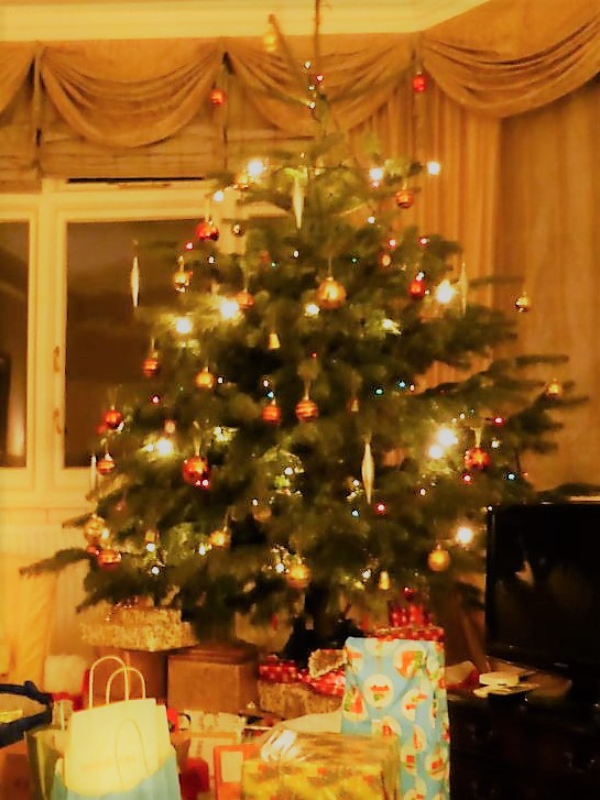 christmas tree at home Warwickshire Christmas Tree Farm