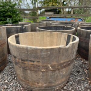 Oak Barrel