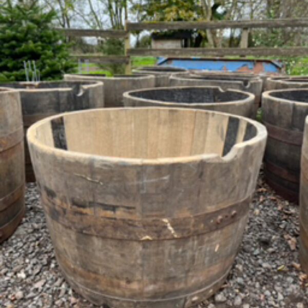 Oak Barrel